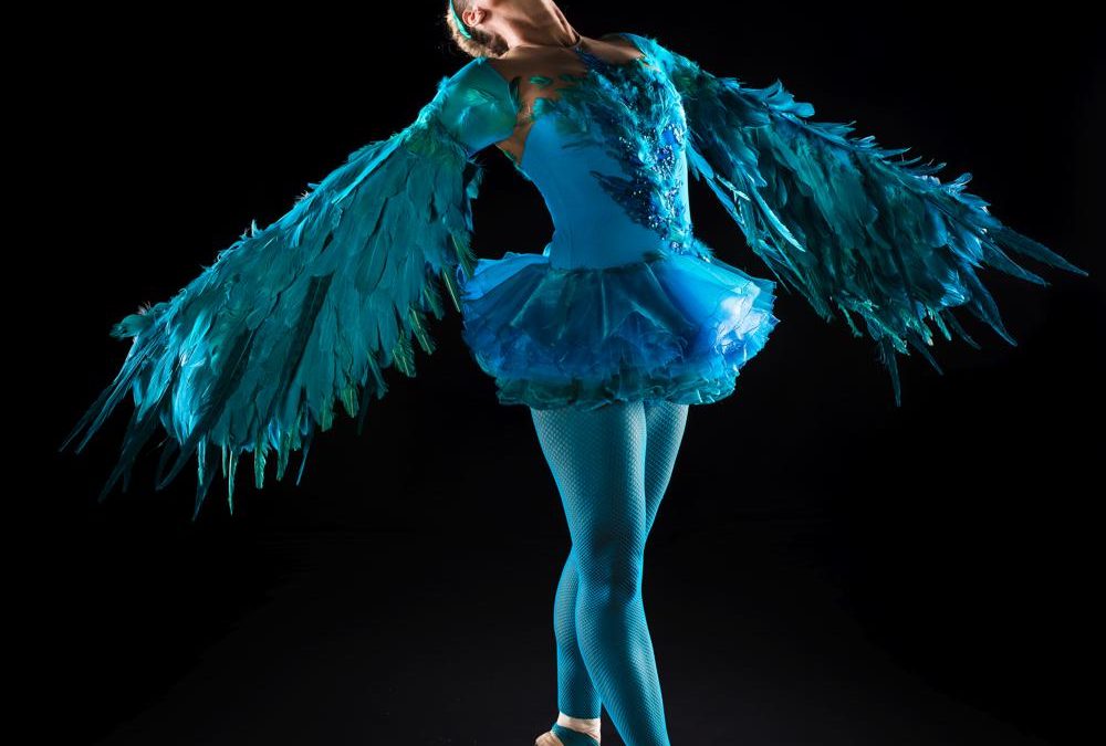 winged-ballerinas 8